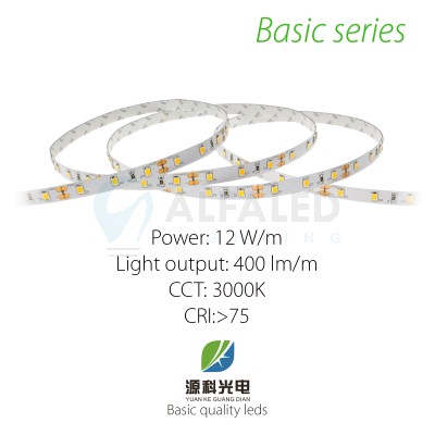 LED pás BASIC series 12W/12V, 60 LED/m 2835