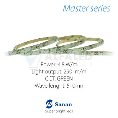 LED pás MASTER series 4,8W/12V 60 LED/m IP54 - ZELENÁ 
