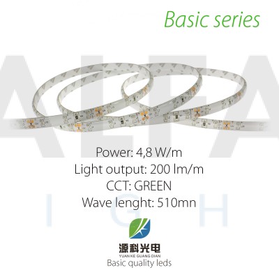 LED pás BASIC series 4,8W/12V 60 LED/m  IP54 - ZELENÁ 