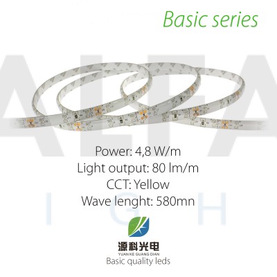 LED pás BASIC series 4,8W/12V 60 LED/m  IP54 - ŽLTÁ